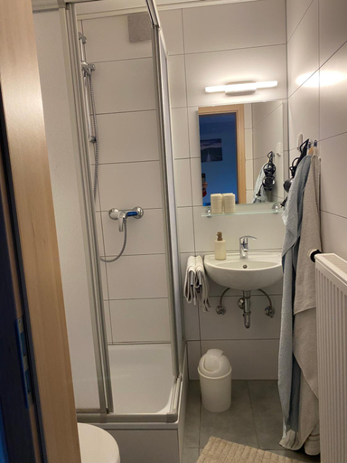 Bathroom 2, Petryhof, Rhein-Hunsrück-Kreis