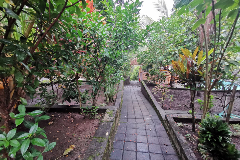 Others 3, Balian Green Lagoon, Tabanan