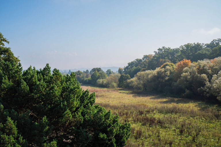 Land view from property 2, Gästehaus Elena, Kassel