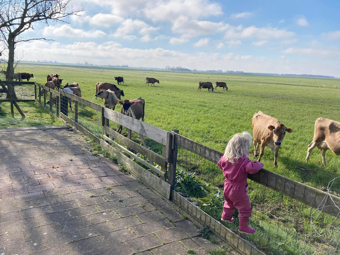 2, Cottages in Friesland with Farm Experience, Skarsterlân