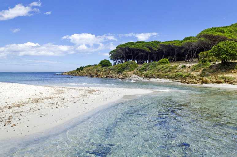 Beach, Bright apartment 300mt from the beach, Nuoro