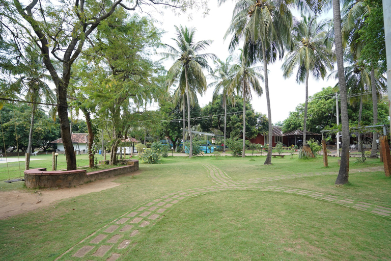 Others 3, Mango Village, Palakkad