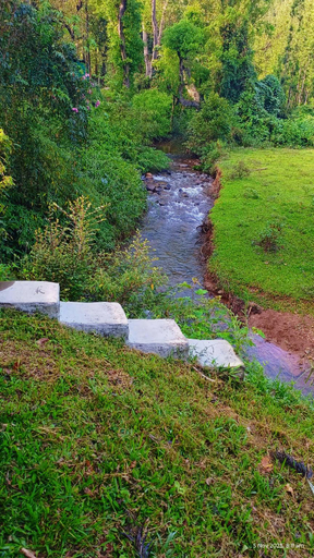Others 5, NATURE STREAM HOMESTAY , Chikmagalur
