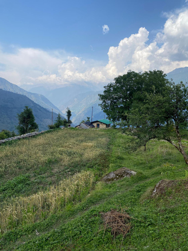 Others 3, The Goat Village, Uttarkashi