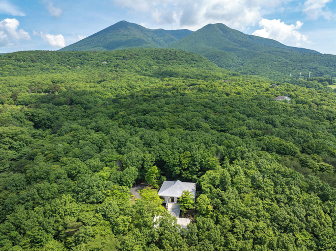 Primary image, NASU PRIVATE FOREST, Nasu