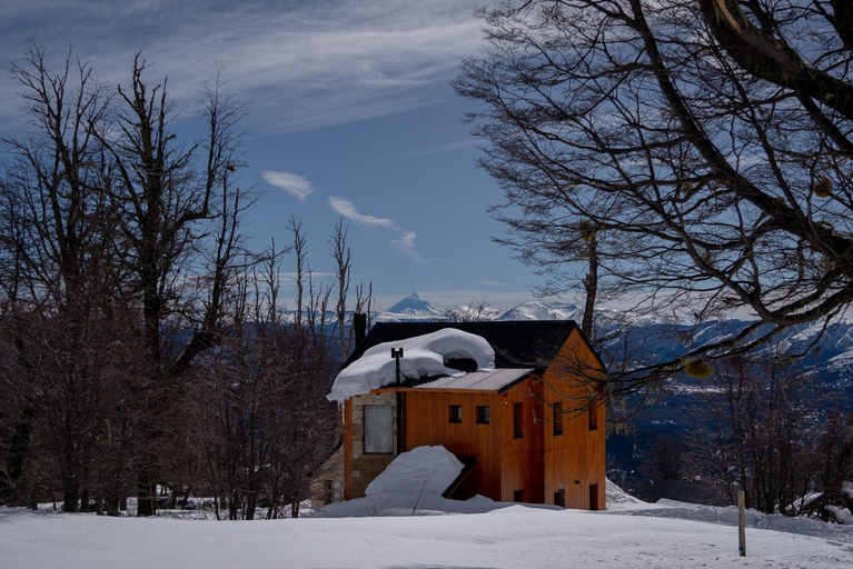 Others 3, Bosque Nevado, Lacar