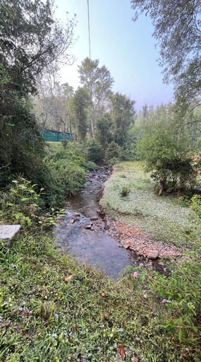 Others 4, NATURE STREAM HOMESTAY , Chikmagalur