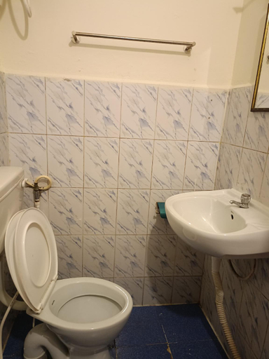 Bathroom 3, Abbu Royal Palace Cottage, The Nilgiris