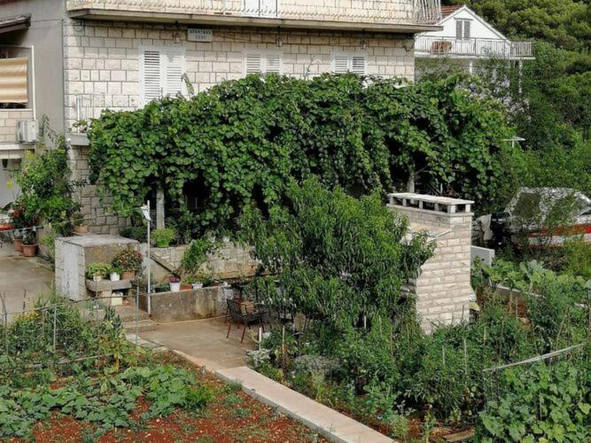 Exterior & Views 2, Apartments Marita - Two Bedroom Apartment, Korčula