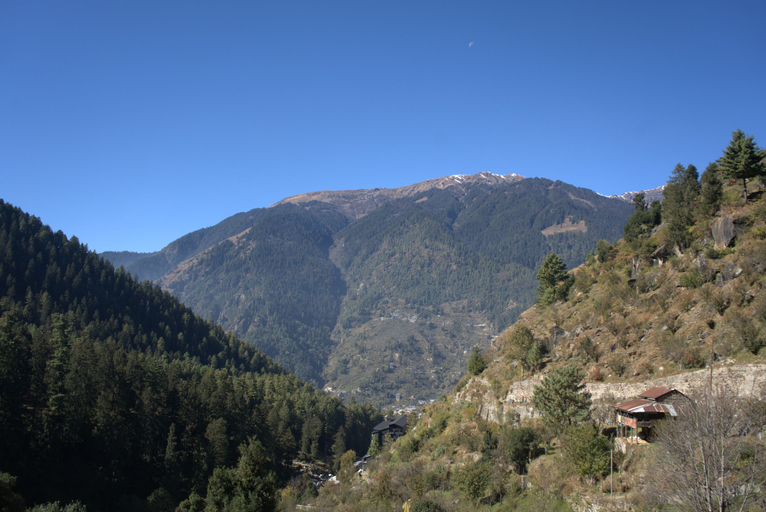 View from property 2, Manali Se - Your Home in the Pines, Kullu