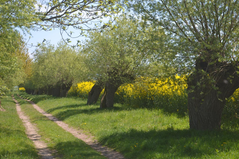 Others 2, Pension Haß, Nordwestmecklenburg