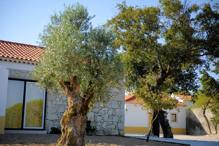 Exterior & Views 1, Casa das Rendufas- Turismo Rural com Figos, Torres Novas