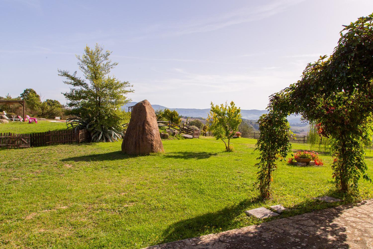 Others 5, Casale meraviglioso Val d'Orcia con piscina e Sauna, Siena