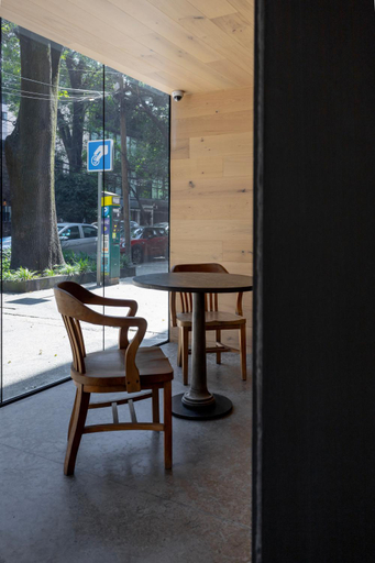 Public Area, Capitalia Temistocles Polanco, Mexico City