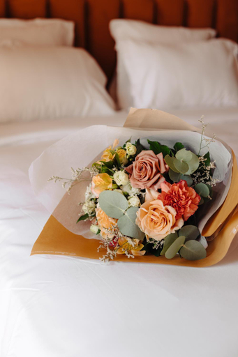 Others 4, Hotel Ambassador, Alpes-Maritimes