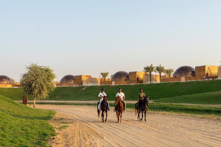 Exterior & Views 2, Al Marmoom Dome Luxury Desert Experiential Stay, Dubai