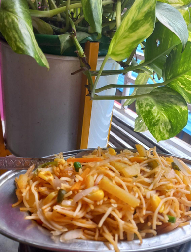 Food & Drinks 3, Hotelier Hosts - A Home Stay, Jodhpur