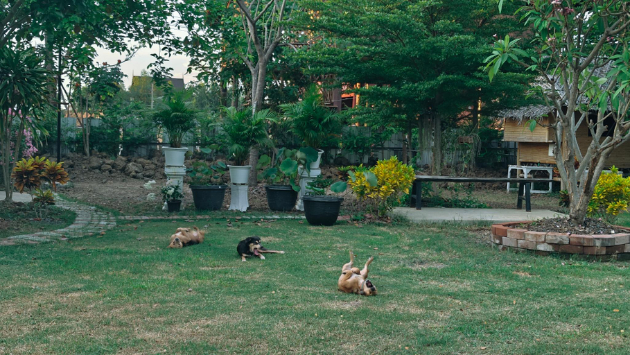 Others 3, บ้านทุ่งขวัญ, Phra Nakhon Si Ayutthaya