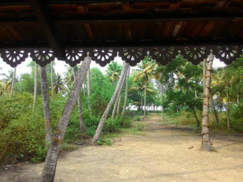 4, Marari Felix Beach Villa, Alappuzha