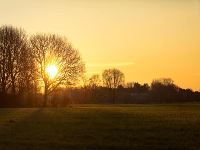 Surrounding environment