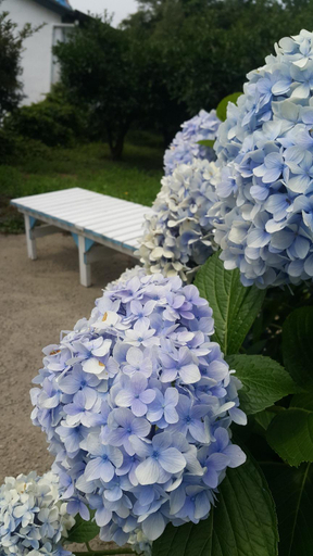 Others 5, Jeju Meomuri Pension and Guest Hosue, Seogwipo