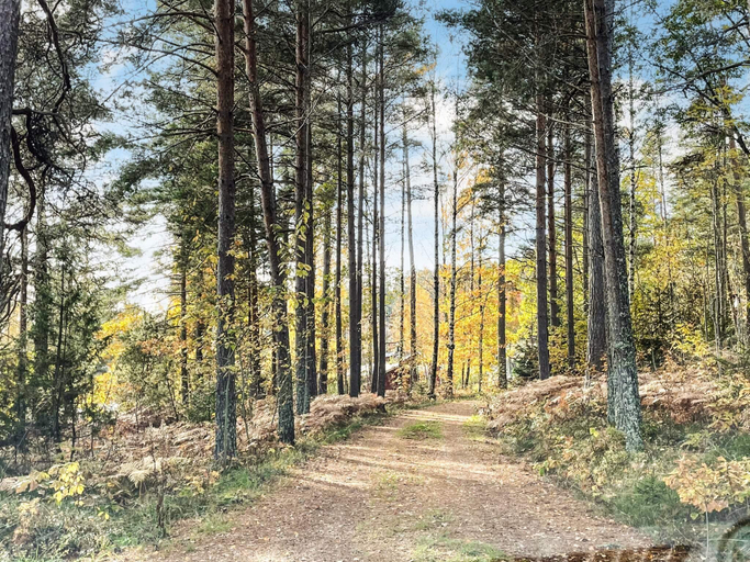 2, Peaceful Forest Cabin in Dalsland, Åmål