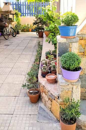 Garden 2, Dinas Apartment Alonissos - Nefeli Summer Haven, Thessaly