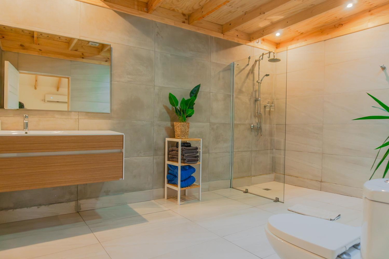 Bathroom, Barros Wellness & Spa Resort Boutique, Los Andes