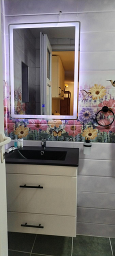 Bathroom 2, Ranc Sretenovic, Mionica