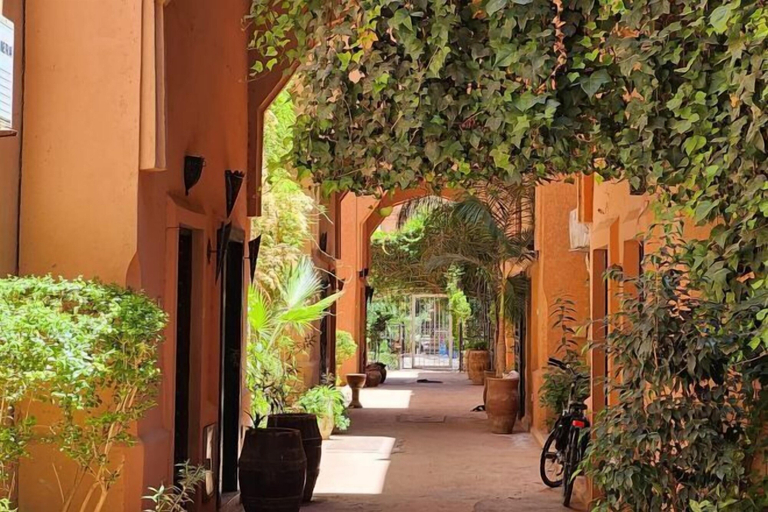 View from property 5, Riad with 3 Swimming Pools, Marrakech