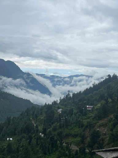 City view from property, Chanon Holiday Home Stay, Kullu