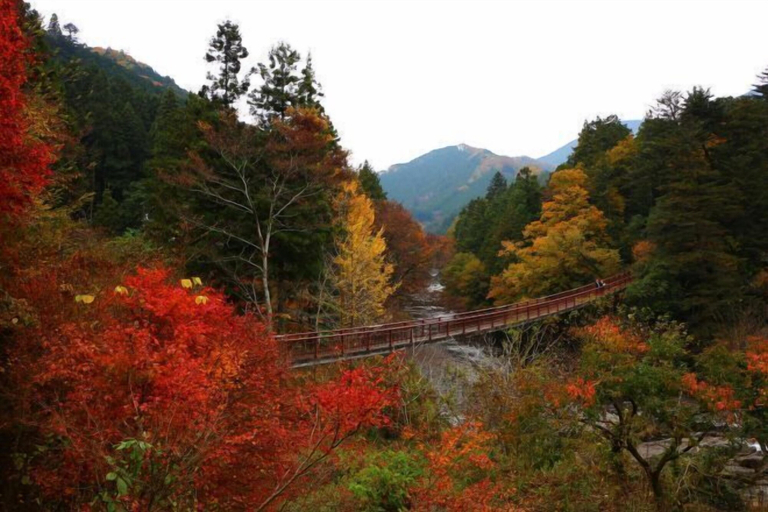View from property 5, Private Villa BO-SHA 150-year-old traditional house, Akiruno