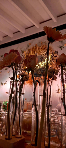 Food & Drinks 5, Dar Jbel Hammamet, Hammamet