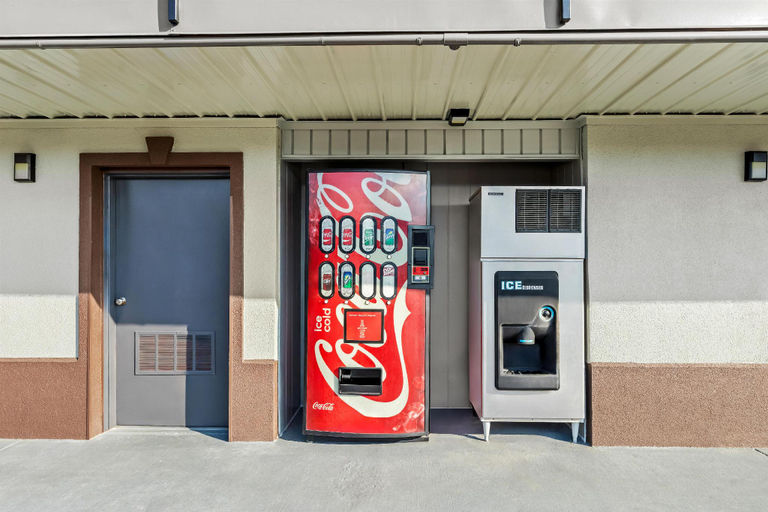 Food & Drinks 4, Americas Best Value Inn Indianola, Sunflower