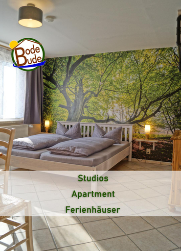 Exterior view 5, BodeBude, Harz