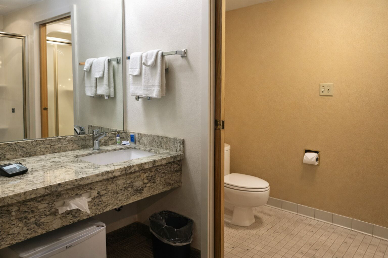 Bathroom, Layover Inn Boise Airport, Ada