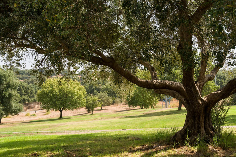 Others 5, SPNI Hermon Field School