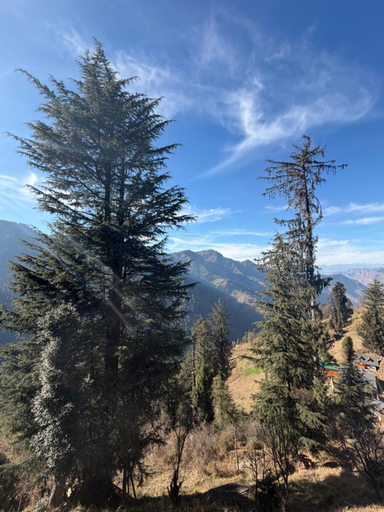 Others 4, Sojhaholidayinn, Kullu
