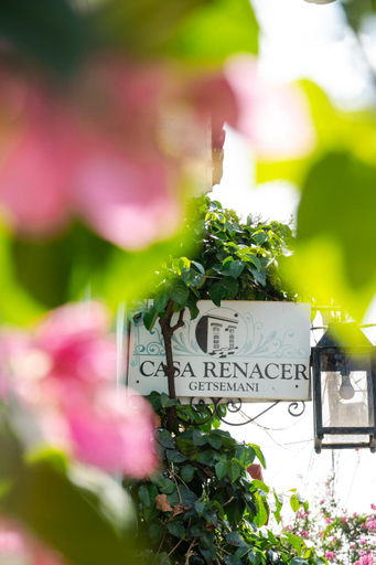 Others 4, Casa Renacer, Cartagena de Indias