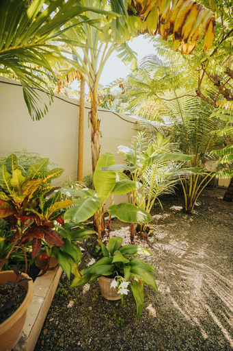 Exterior detail, The Sandscape Fuvahmulah