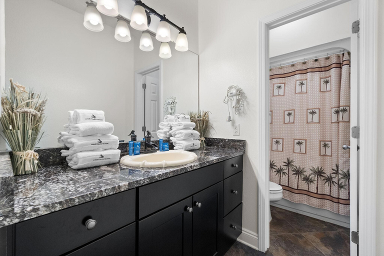 Bathroom 3, Phoenix 6 011, Baldwin
