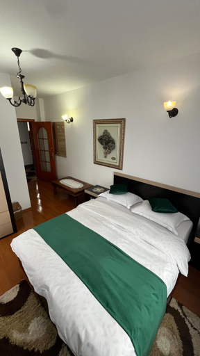 Bedroom 2, Pensiunea Lavinia Daniel, Borsa