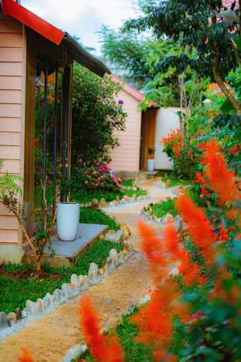 Others 4, Hoa Cuc Homestay Mang Đen, Kon Plông
