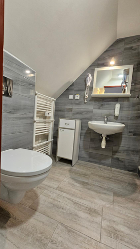 Bathroom, Penzion Ctyrlistek, Náchod