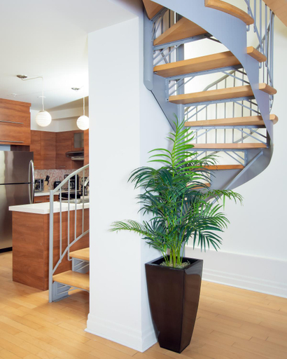 Kitchen 5, Les Lofts 1048, Communauté-Urbaine-de-Québec