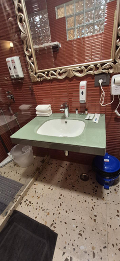 Bathroom 4, Ray of Maya Hotel, Agra
