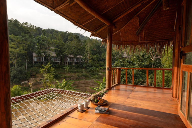 Others 5, Pu Luong Discovery, Bá Thước