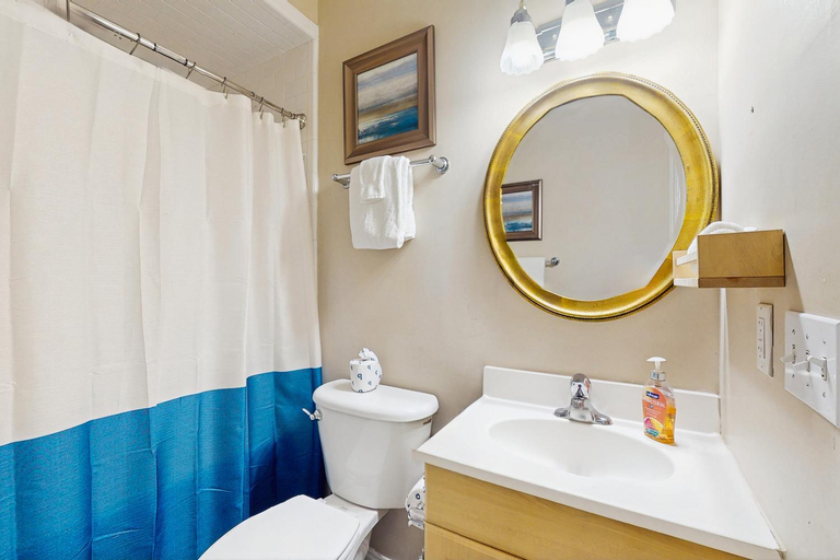 Bathroom, Historic City Market Loft Off Broughton, Chatham