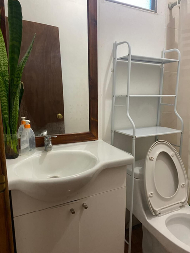 Bathroom 3, Pumakari Rapanui, ísla de Pascua