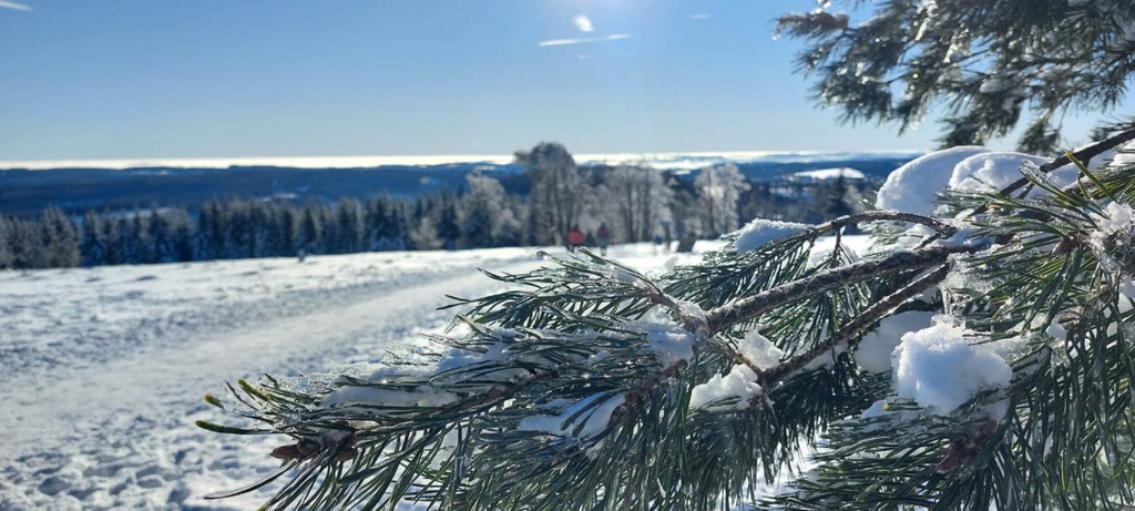 Others 1, Ferienwohnungen Bergnest Winterberg, Hochsauerlandkreis